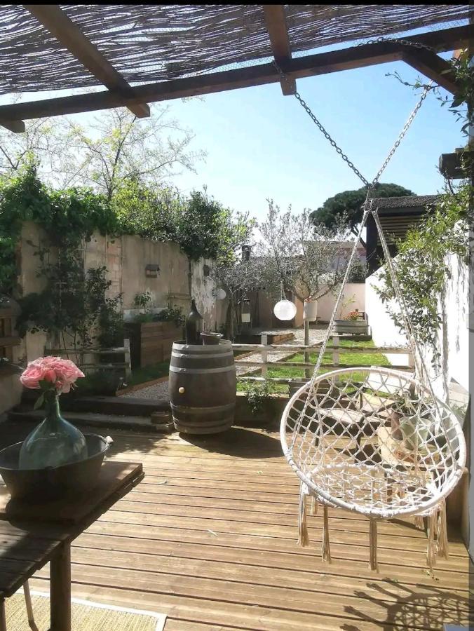 La Maison De Marie - Jardin Arbore - Garage Privatif - Netflix Carcassonne Eksteriør bilde